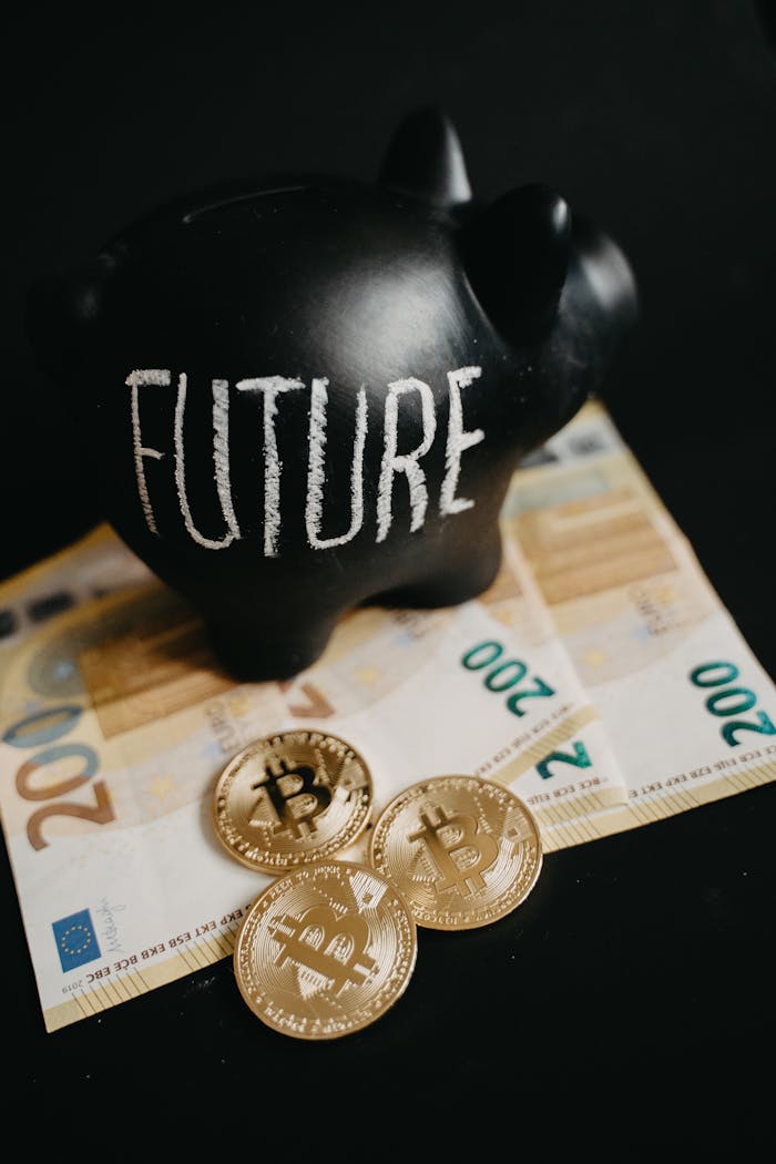 Black piggy bank labeled Future with 200 euro bills and Bitcoin coins, symbolizing modern savings.